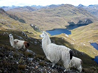 ElCajas