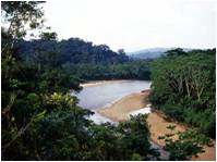 Altos Nangaritza