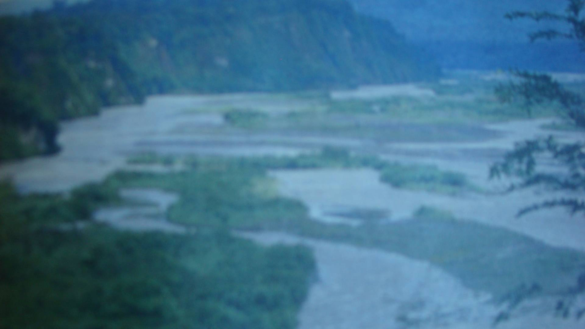 Puyango