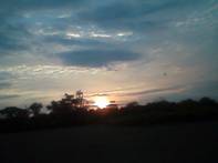 Vinces